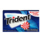 preview Trident Perfect Peppermint 26,6 g