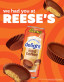 preview Reese's Iced Coffee 443 ml